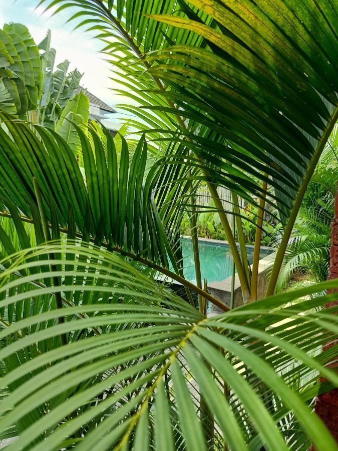 Wayan Garden Hotel อูบุด ภายนอก รูปภาพ