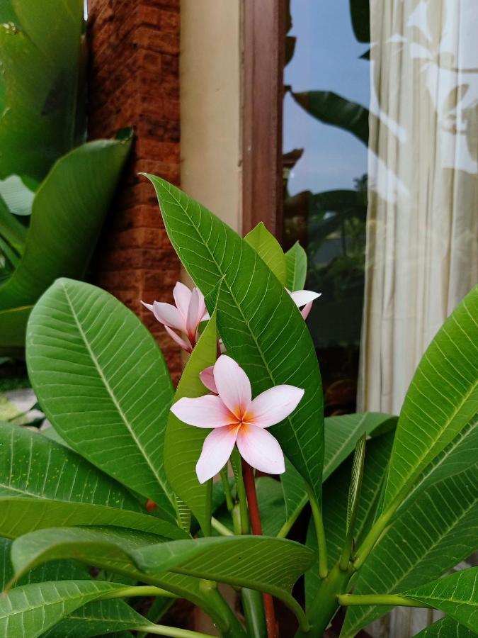 Wayan Garden Hotel อูบุด ภายนอก รูปภาพ
